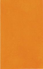 Novogres Futura настенная плитка Naraniy 30.3*48.1