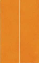 Novogres Futura декор Decor Bios Naraniy 30.3*48.1