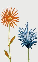 Novogres Futura декор Decor Valetta 30.3*48.1