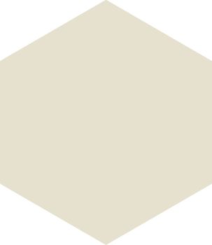 APE Hexagon White