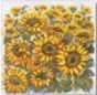 Tonalite Provenzale декор Decoro Girasole  15*15