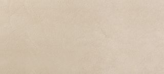 Настенная плитка Beige 50*110