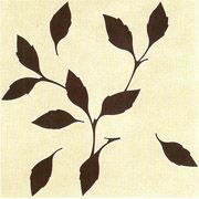 Rex Matouche декор Сuir ivore inserto cuir charbon 60*60