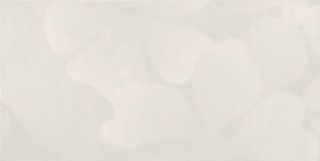 La fabbrica Montenapoleone керамогранит Vaniglia Floreale 60*30