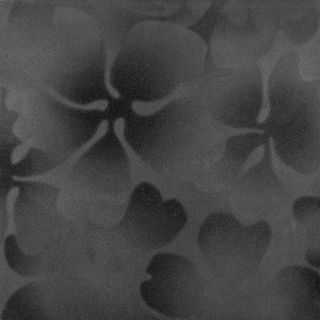 La fabbrica Montenapoleone керамогранит Grafite Floreale 60*60