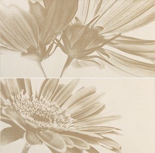 La fabbrica Montenapoleone декор Dec Nadir Vaniglia Musa Set2  60*30