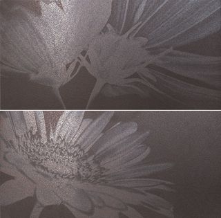 La fabbrica Montenapoleone декор Dec Nadir Fandango Musa Set2 60*30