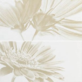 La fabbrica Montenapoleone декор Dec Nadir Bianco Musa Set2 60*30