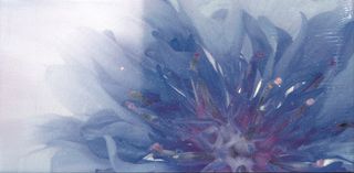 La fabbrica Montenapoleone декор Fiordaliso C 60*30