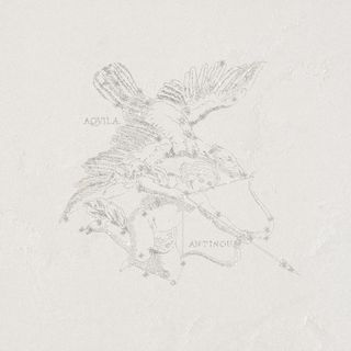 La Fabbrica Pietra Lavica декор Aquila Arenal 49*49