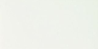 Exelle-Elios Optica настенная плитка Optica Bianco Matt 40*20