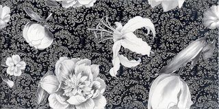 Exelle-Elios Optica декор Optica Decoro giglio platino 40*20