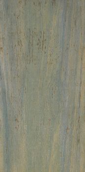 La faenza Amazzonia керамогранит Amazzon50100VR 50*100