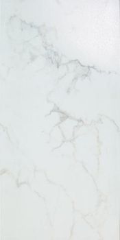 Imola Ceramica Maxima керамогранит Carrara100LP 50*100