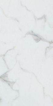 Imola Ceramica Maxima керамогранит Carrara25S 25*50