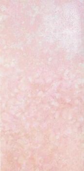 Imola Ceramica Maxima керамогранит Rosato100LP 50*100