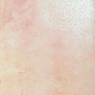 Imola Ceramica Maxima керамогранит Perlato50LP 50*50