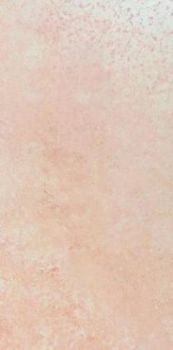 Imola Ceramica Maxima керамогранит Perlato25LP 25*50