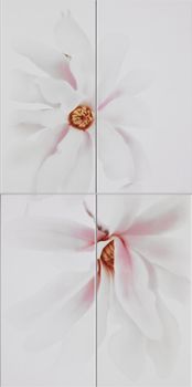 Imola Ceramica Vintage декор Tender36W4 30*60