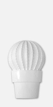 Vives Blanco Brillo декор Cactus-B Blanco Brillo 30*60