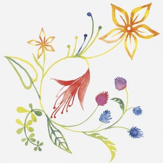 Bardelli Primavera декор Colore 2 20*20