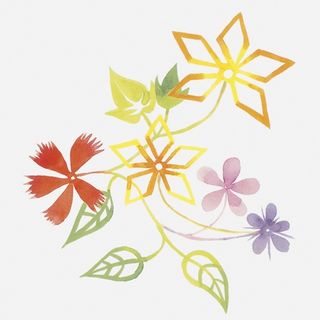 Bardelli Primavera декор Colore 2 20*20