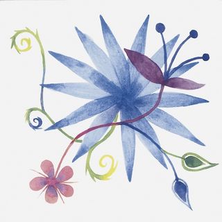 Bardelli Primavera декор Colore 2 20*20