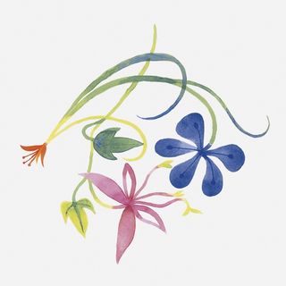 Bardelli Primavera декор Colore 2 20*20