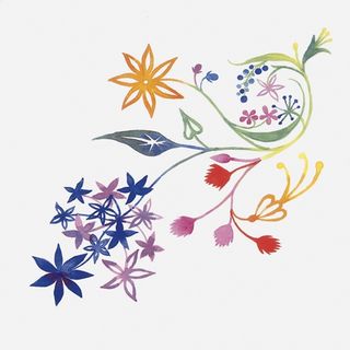 Bardelli Primavera декор Colore 2 20*20