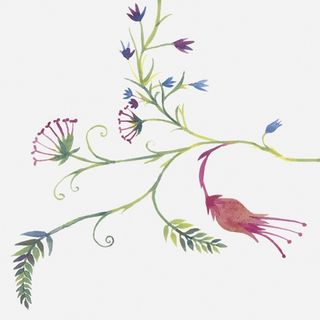 Bardelli Primavera декор Colore 1 20*20