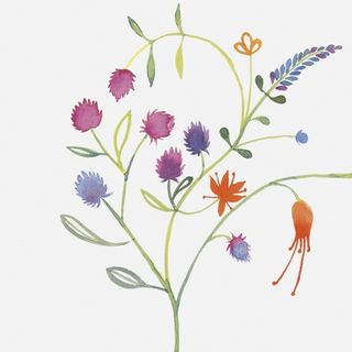 Bardelli Primavera декор Colore 1 20*20