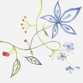 Bardelli Primavera декор Colore 1 20*20