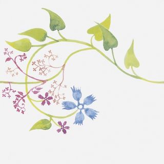 Bardelli Primavera декор Colore 1 20*20