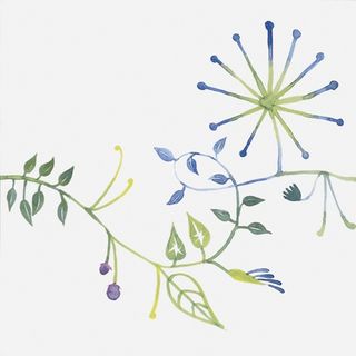 Bardelli Primavera декор Colore 1 20*20