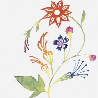 Bardelli Primavera декор Colore 1 20*20