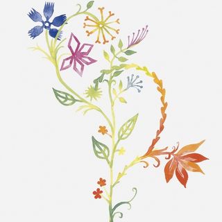 Bardelli Primavera декор Colore 1 20*20