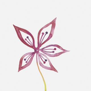 Bardelli Primavera декор Colore 1 20*20