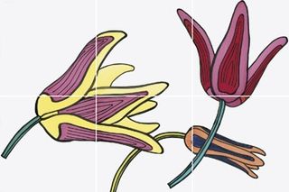 Bardelli Tuli-Pop декор 1 04 40*60
