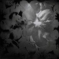 GranitiFiandre Xtra ordinary керамогранит Blossom Glossy Black 60*60