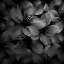 GranitiFiandre Xtra ordinary керамогранит Glass Blossom Black 60*60