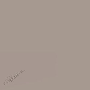 Roberto Cavalli Diva декор Diva Unito Tortora Firma Rett 32*32