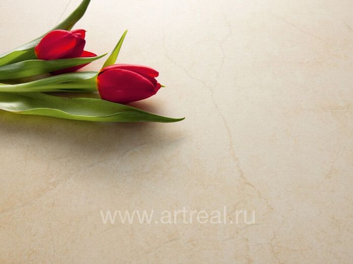 Керамогранит Italon Elegance