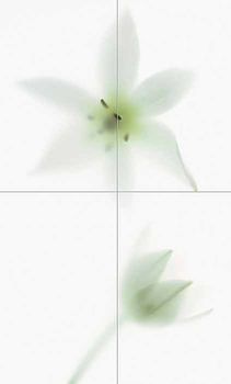 Viva Floranova панно Novagrey Comp B/4 63*104