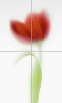 Viva Floranova панно Novared Comp C/4 63*104