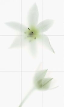 Viva Floranova панно Novagrei Comp 94.5*156