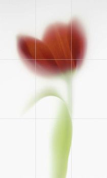 Viva Floranova панно Novagrei Comp 94.5*156