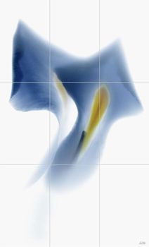 Viva Floranova панно Novagrei Comp 94.5*156