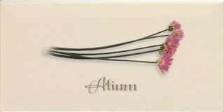 APE Biselado декор Decor Crema Alium 20*10