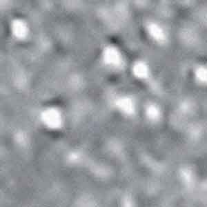 Viva Pietroluna вставка Dot Graphite 1.5*1.5