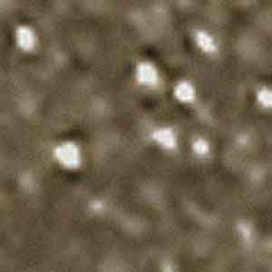 Viva Pietroluna вставка Dot Honye 1.5*1.5